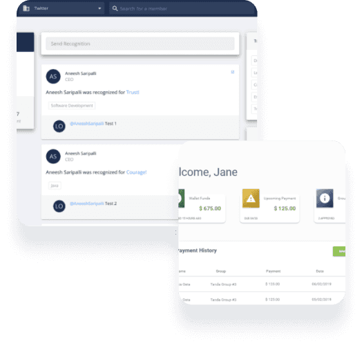 Custom Software Development